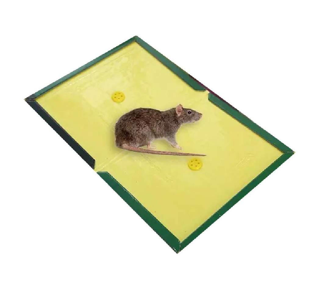 Rat Counter Mouse & Rat Glue Trap